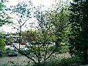 Through a window.jpg